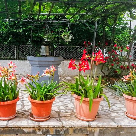 Apartman Lavanda Sa Bazenom I Okucnicom 4* Hreljin Extérieur photo