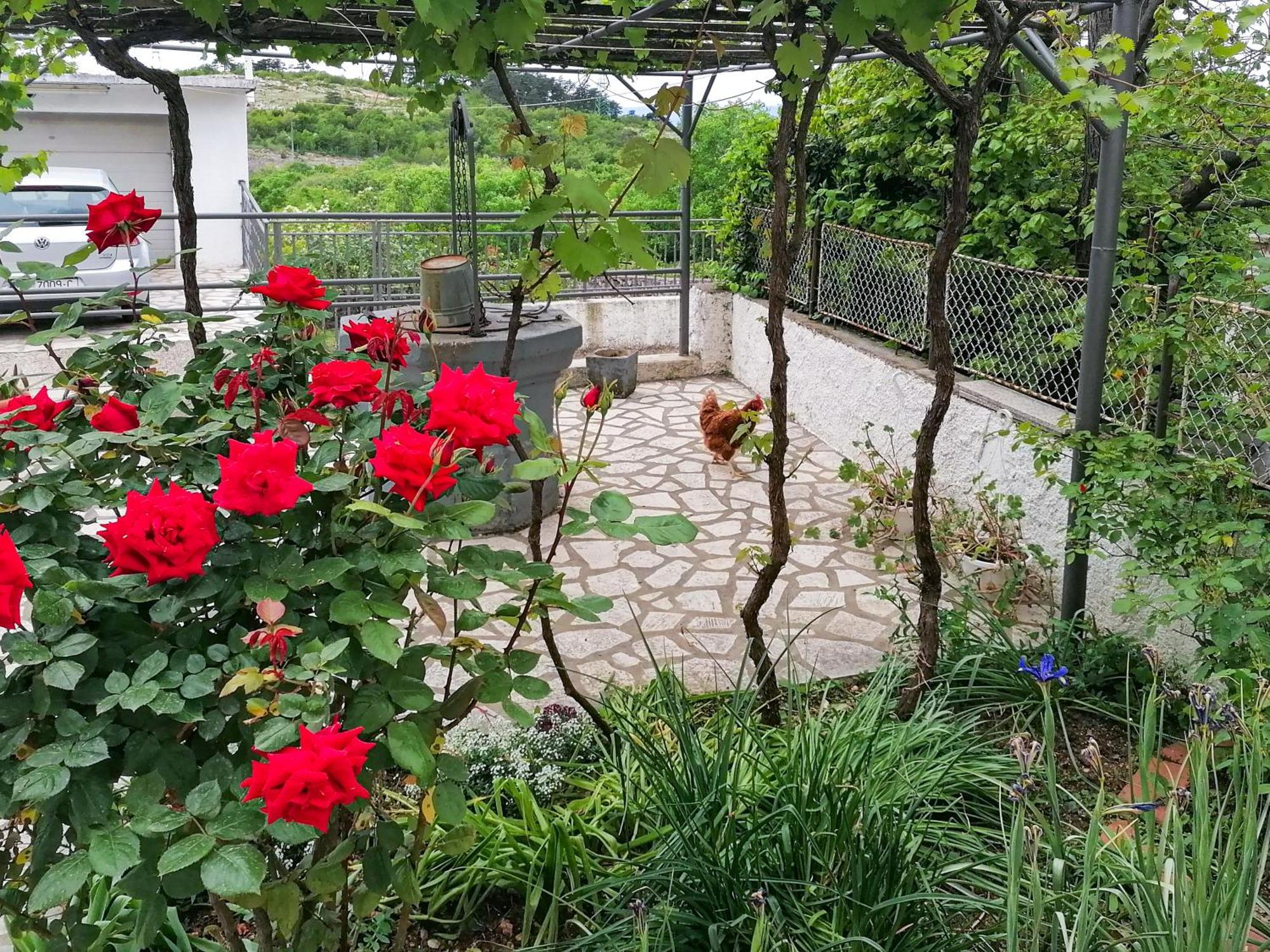 Apartman Lavanda Sa Bazenom I Okucnicom 4* Hreljin Extérieur photo