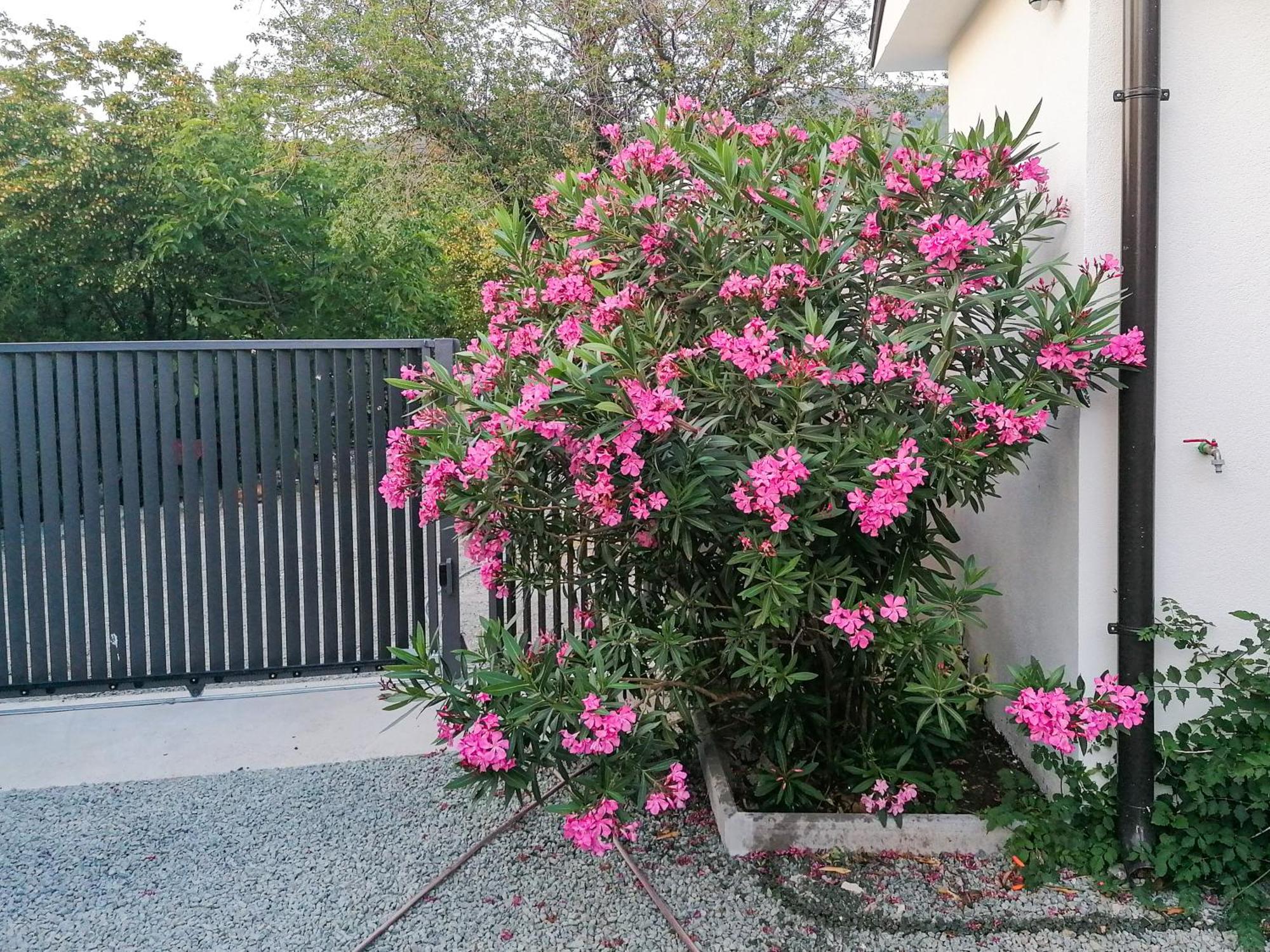 Apartman Lavanda Sa Bazenom I Okucnicom 4* Hreljin Extérieur photo