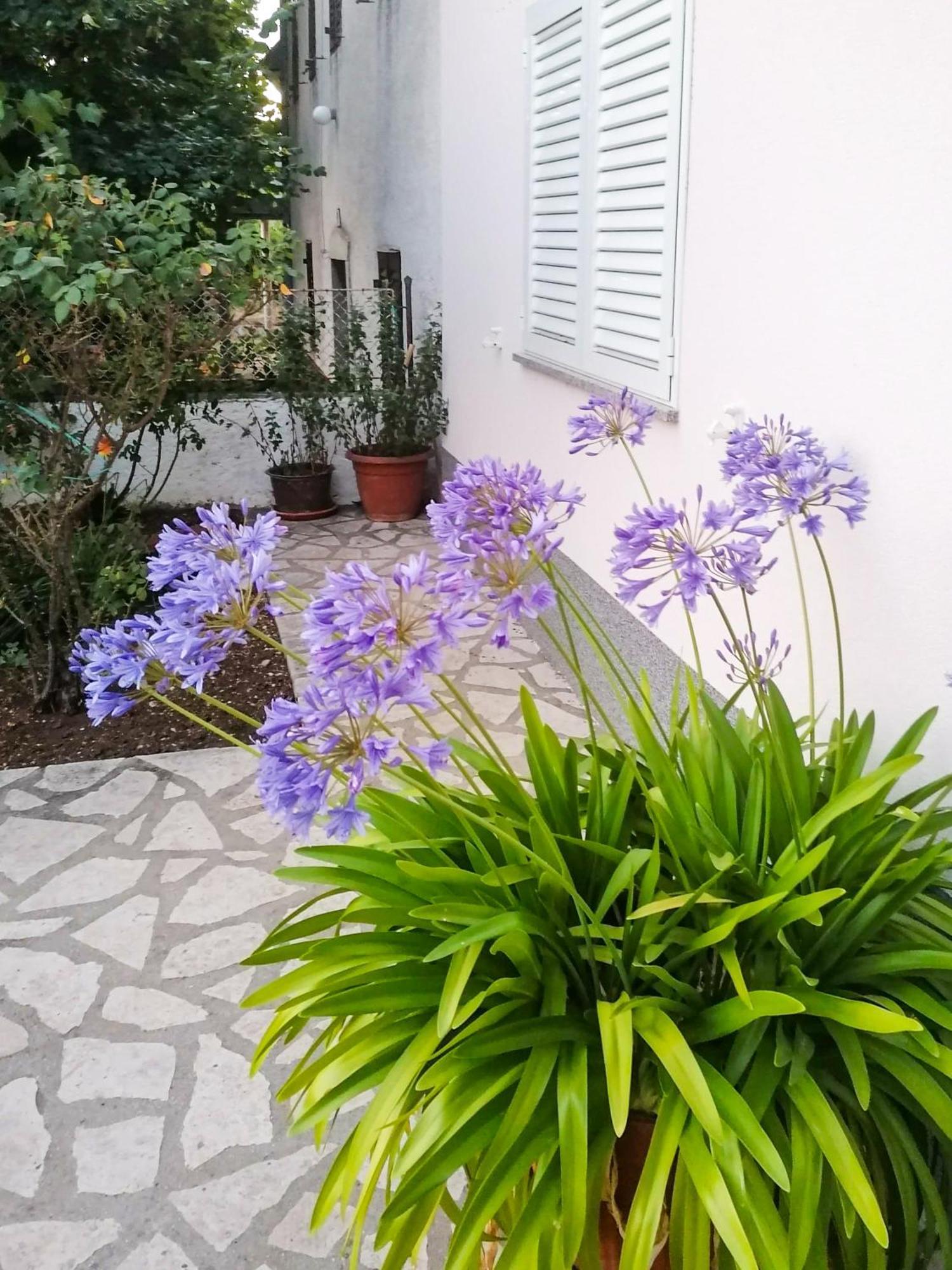 Apartman Lavanda Sa Bazenom I Okucnicom 4* Hreljin Extérieur photo